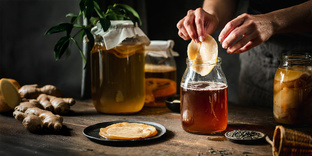 Чайный гриб/Комбуча