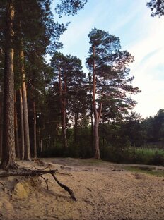 Мое скромное творчество