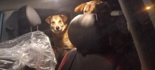 Девчонки греются в мороз 