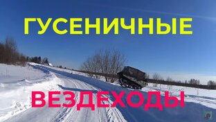 Мои гусеничные Пельцы