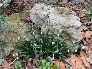 Весна идёт🌷