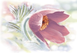 октябрь 2025 мои видео