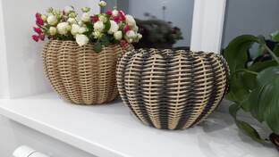 Век живи - век плети!