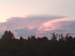 Александр Шелест