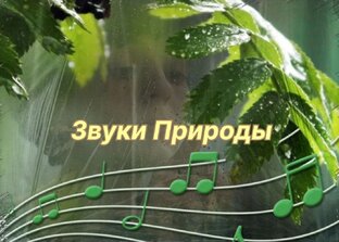 Звуки Природы