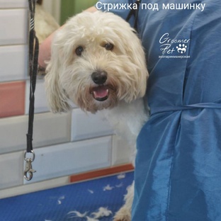 Анонсы платных МК