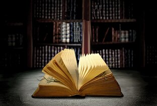 ПОЛЕЗНАЯ ИНФОРМАЦИЯ