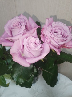 Поздравляю дочку