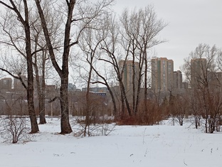 Таро на ДЕКАБРЬ 2025