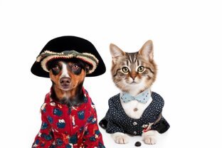 Для животных