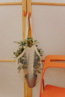 Зеленый дом 🏡 