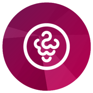 Новости выставки 📰