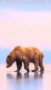 Все части гонок на собственном автомобиле.