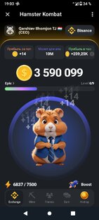 @hamsterkombat