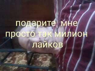 Необходимое