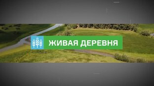 "Живая деревня"