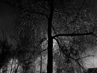 Мир вокруг с культурной точки зрения.