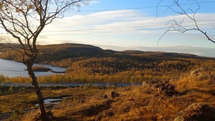 Природа Заполярья