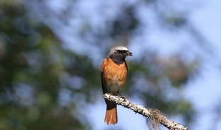 Правда или вымысел?