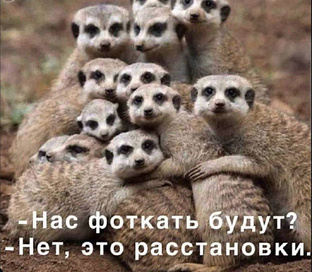 Это расстановки 