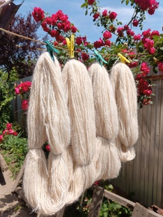 Казачьи женские дела