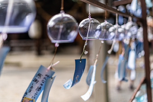 Про мою японскую жизнь