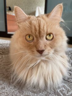 Работа, Карьера, Личностный Рост