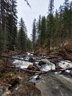 Салаирский кряж