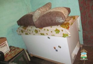 В Башкирии в морозилку наши бабушку, пропавшую в июле