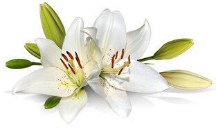 Литературная страничка