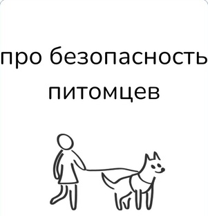 про безопасность питомцев