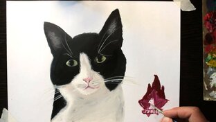 ИСТОРИИ В РИСУНКАХ