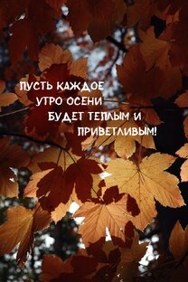 Прикольные видео 