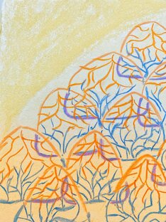 Сиян Творчество