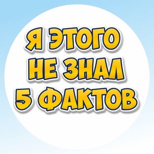 Я этого не знал. 5 фактов