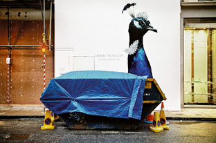 Уличная фотография