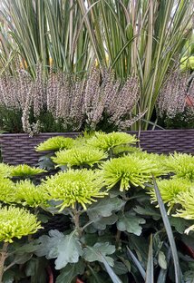 Ботанические сады и выставки