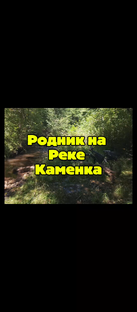  ПРИКЛЮЧЕНИЯ НА РОДНИКЕ НА РЕКЕ КАМЕНКА 