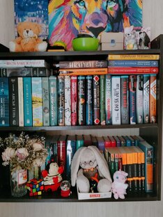 Книжные отзывы