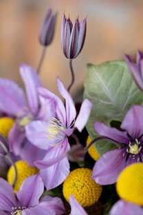 Цветы и букеты