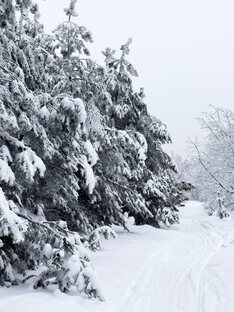 Сказки для взрослых