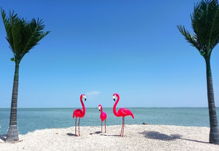 Отдых на Азовском море