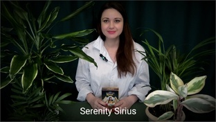 ТЕМАТИЧЕСКИЕ РАСКЛАДЫ НА РАЗНЫЕ СИТУАЦИИ