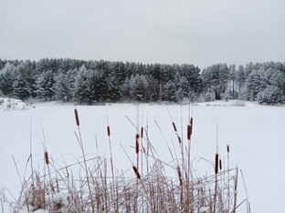 Рыбалка