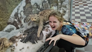 Для ПРАЗДНИКА