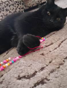 Старые пост с Тишей Пупышей