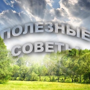 полезные советы