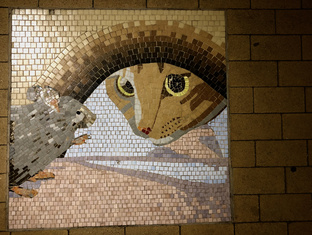 Обзор Ресторанов и кафе