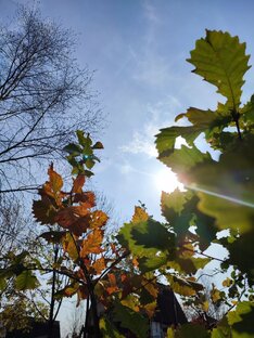 НеЖенскихМыслейКружева_Астрология