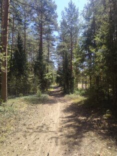 По дороге к новой жизни